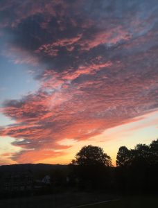 life as a third culture kid