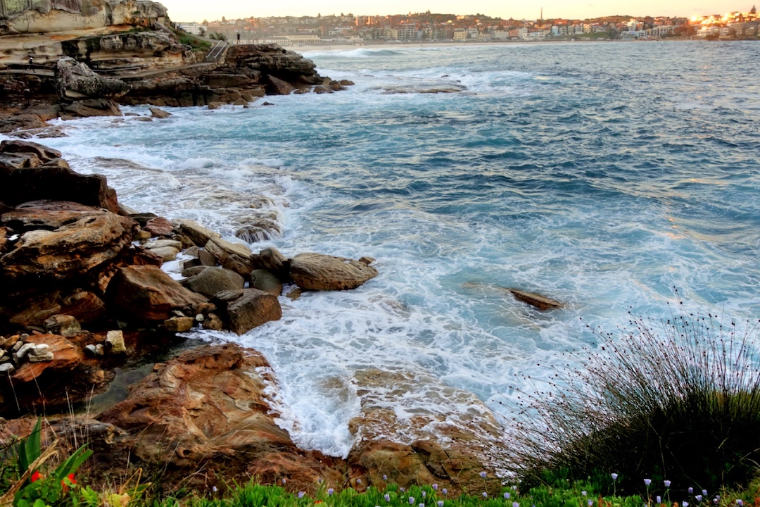 Bondi-Coogee Walk in Sydney, Australia
